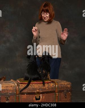 Dachshund guardare attentamente il cane-trainer Foto Stock