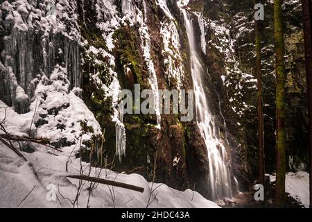 La cascata di Burgbach con neve in inverno. Cascata con scalini in pietra a Schapbach, Foresta Nera, Baden-Wuerttemberg, Germania Foto Stock