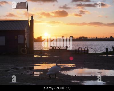 Sheerness, Kent, Regno Unito. 5th Jan 2022. UK Meteo: Tramonto a Sheerness, Kent in un pomeriggio freddo. Credit: James Bell/Alamy Live News Foto Stock