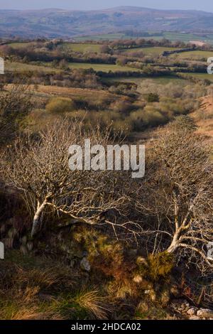 Vista sulla valle di Dart, bordo sud est di Dartmoor Foto Stock