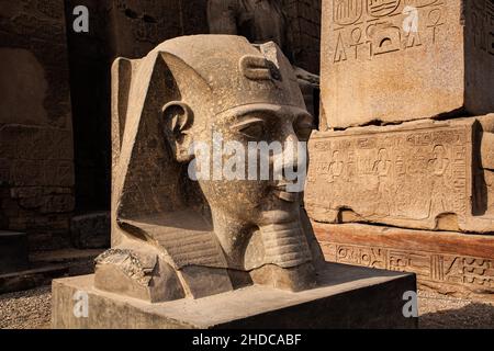 Testa di una statua di Ramses II al pilone d'ingresso, Tempio di Luxor, Tebe, Egitto, Luxor, Tebe, Egitto, Africa Foto Stock