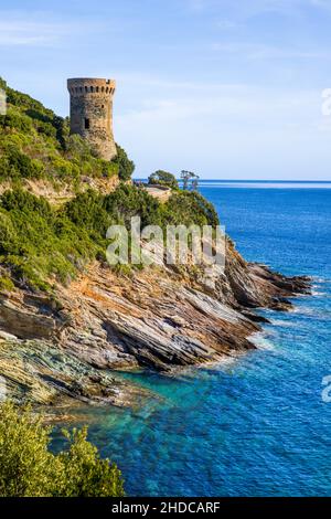 Costa con Torre Genovese, Cap Corse, Corsica, Corsica, Francia, Europa Foto Stock