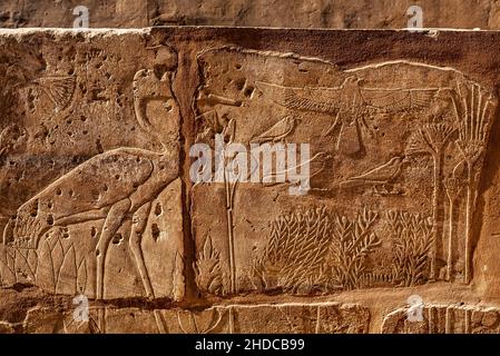 "Giardino botanico" di Thutmosis III con raffigurazioni in rilievo di piante e animali, Tempio di Karnak, Luxor, Tebe, Egitto, Luxor, Tebe, Egitto, Africa Foto Stock