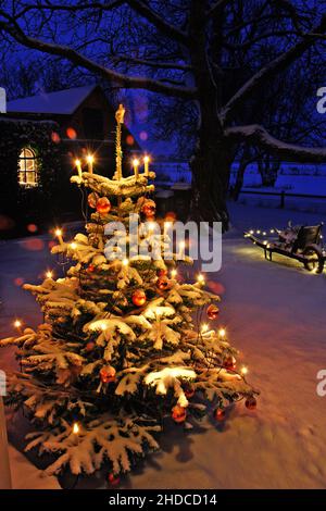 Europa, Deutschland, Weihnachtsbaum mit Kerzen und Kugeln im verschneiten Vorgarten, Foto Stock