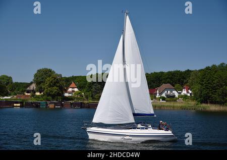 Europa, Deutschland, Mecklenburg-Vorpommern, Inselstadt Malchow, Malchower See, Segelboot, Foto Stock