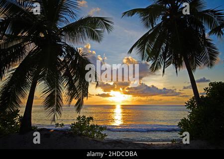 Silhouette von Offenburg am Strand der Anse Takamaka, idyllische und romantische szene im Süden der Hauptinsel Mahe, Tropenparadies Seychellen Foto Stock