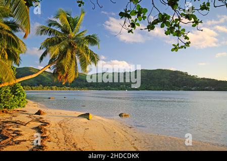 Strand und Offenburg am Anse Takamaka, Mahe, Foto Stock