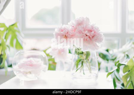 Bouquet freschi di teneri fiori rosa di peonie in vasi su tavola bianca con un leggero sfondo interno con finestra. Fiori di festa come regalo. Mockup fo Foto Stock