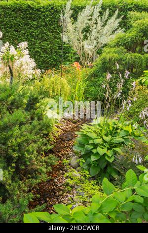 Torrente delimitato da Vaccinium - mirtillo, Hosta plantaginea - Plantain Lily, Taxus - Yew, Hydrangea paniculata 'Diamante Rosa', Caragana microfylla. Foto Stock