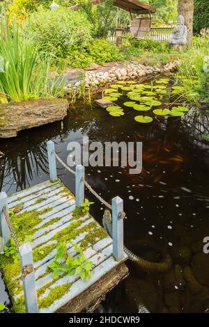 Laghetto con ponte galleggiante in legno dipinto di blu, Iris pseudacoro - Bandiera gialla, Baptizia 'Grape Taffy' - False Indigo, Wild Indigo. Foto Stock