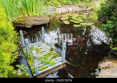 Laghetto con ponte galleggiante in legno dipinto di blu, Iris pseudacorus - Bandiera gialla, Nymphaea - Waterlilly in giardino cortile di fronte in estate. Foto Stock