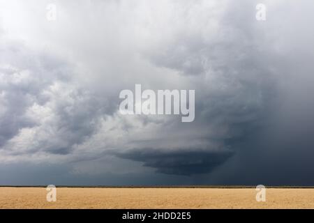 Paesaggio pianeggiante con una tempesta di superscelle su un campo di grano vicino a Dodge City, Kansas Foto Stock