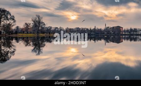 Bella vista di un lago con alberi che si riflettono su di esso e uccelli che volano su di esso Foto Stock