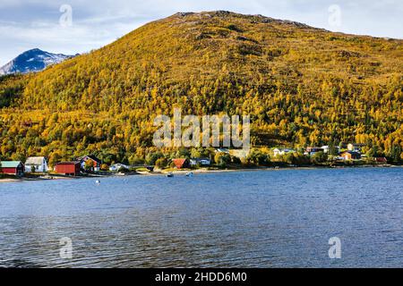 Splendida vista sul lago e sulle montagne boscose a Troms, Norvegia Foto Stock