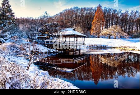 Casa da tè in stile giapponese in un laghetto parco in un ambiente invernale Foto Stock
