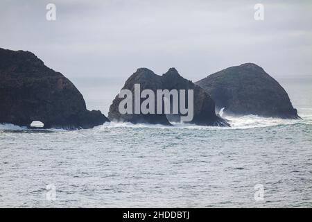 Grandi formazioni rocciose; Oceano Pacifico; costa dell'Oregon; vista dal faro di Cape Meares; vicino a Tillamook; Oregon; USA Foto Stock
