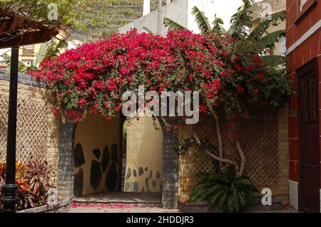 Villa de Tazacorte, deliziosa città nella parte occidentale di la Palma, Isole Canarie, Spagna Foto Stock