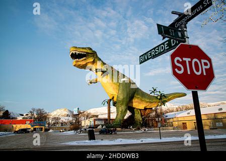 Drumheller, Canada - 21 2021 dicembre: Statua Gigantesque Dinosaur nel centro di Drumheller Alberta Foto Stock