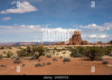 Formazione di aghi lungo il Devils Kitchen Trail nel Canyonlands National Park Foto Stock