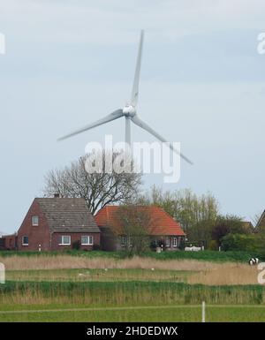 Pellworm, Germania. 11th maggio 2021. Una turbina eolica si può vedere sull'isola di Pellworm. Credit: Marcus Brandt/dpa/Alamy Live News Foto Stock