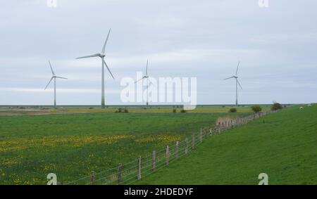 Pellworm, Germania. 11th maggio 2021. Le turbine eoliche si possono vedere sull'isola di Pellworm. Credit: Marcus Brandt/dpa/Alamy Live News Foto Stock