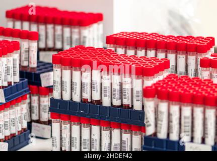 Provette per PCR molecolare reali in fila, tamponi nasali e orofaringei con reagente rosso in fiale, test per Sars Cov-2, Covid-19 o Coronavirus Foto Stock