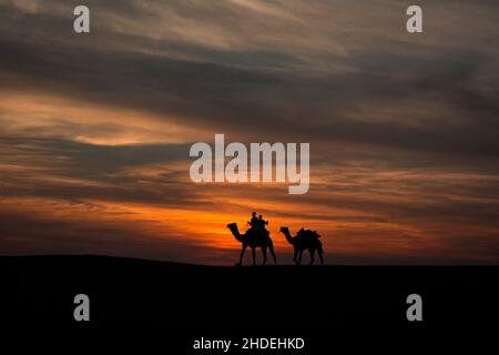 Cammelli che camminano sulle dune di sabbia contro i cieli spettacolari alle dune di sabbia di Sam Foto Stock