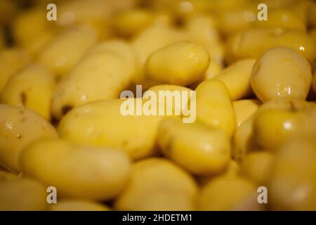 Interni di fabbrica. Produzione di chip. Attrezzatura di fabbrica, processo di produzione del prodotto. Foto di alta qualità Foto Stock