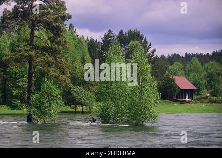 Primavera nel Parco Nazionale Meshchersky . Limpido maggio giorno sul fiume foresta Foto Stock