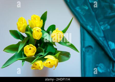 Un bouquet di tulipani gialli visto dall'alto e un pezzo di tessuto Foto Stock