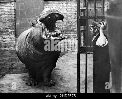 Ippopotamo e custode, London Zoo, periodo vittoriano Foto Stock