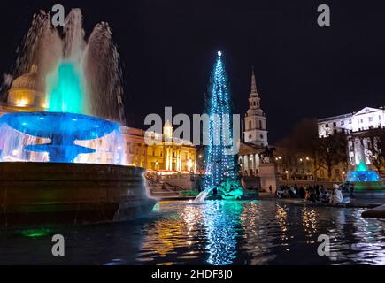 Albero di Natale in Trafalgar Square. Ogni anno viene donata al popolo britannico dal popolo norvegese, per commemorare il sostegno britannico nel corso del WW2 Foto Stock