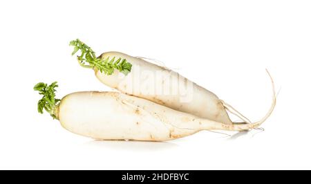 rafano, crudo, nero spagnolo rotondo, raggi, raws Foto Stock