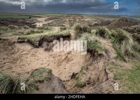 Gravi danni causati dall'attività umana al fragile sistema di dune di sabbia a Crantock Beach a Newquay in Cornovaglia. Foto Stock