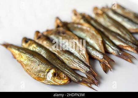 spratto, germogli riga, spratti Foto Stock