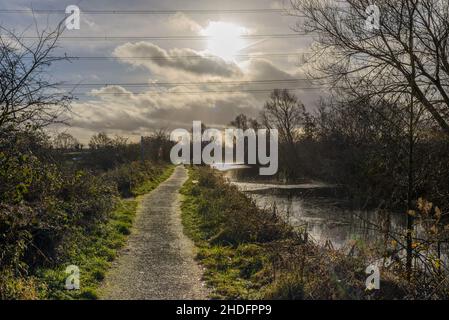 Sezione del Trans Pennine Trail accanto a un canale di pesca a Royston, Barnsley, South Yorkshire, Regno Unito Foto Stock