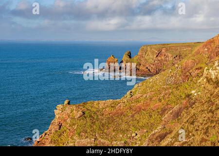 Gli strati sedimentari di roccia delle scogliere lungo il Pembrokeshire Coast Path di St Brides Bay, Galles del Sud Foto Stock