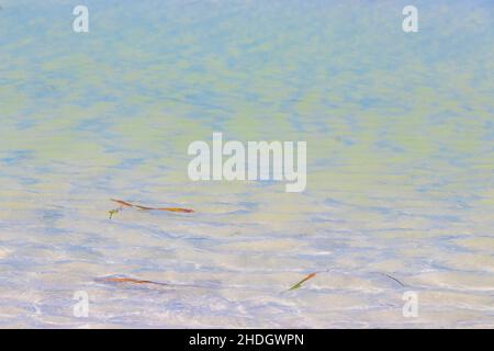 Texture di acqua di sabbia chiara sulla bella spiaggia dell'isola di Holbox in Quintana Roo Messico. Foto Stock