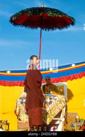 H.H.Dalai lama sul suo trono ombreggiato da un monaco che tiene un ombrello di piume di pavone ad una cerimonia per l'anno N.Tibetano. Dharamsala, Himachal Pradesh, India Foto Stock
