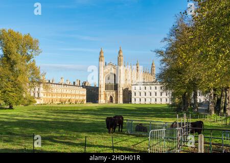 Kinds College e Clare College dal retro Queen's Road Cambridge City 2021 Foto Stock