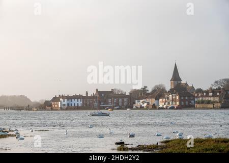 Cigni a Bosham West Sussex Inghilterra in una tetro giornata invernale Foto Stock