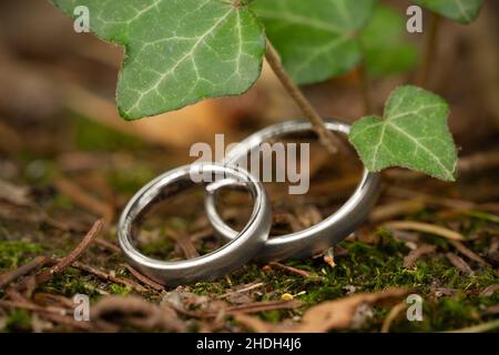 anelli di nozze, anello d'argento, anello di nozze, anelli d'argento Foto Stock