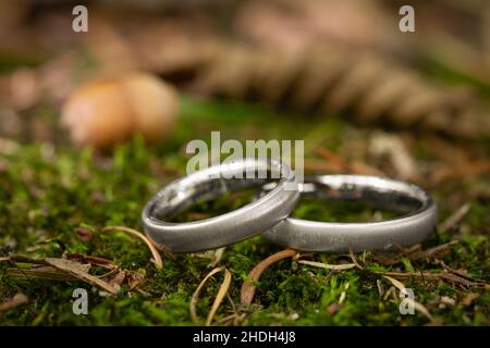 anelli di nozze, anello d'argento, anello di nozze, anelli d'argento Foto Stock