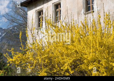 baviera, bad reichenhall, gruttenstein castello, bavarias, bad reichenhall Foto Stock