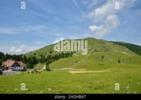 area escursionistica, dobratsch, alpe villacher, aree escursionistiche, ratobschs Foto Stock
