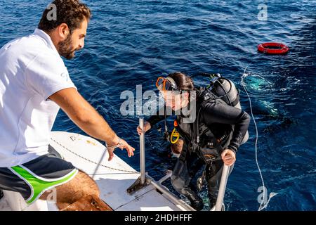 Un subacqueo femminile sale a bordo di una barca dopo un'immersione nel Mar Rosso, Aqaba, Aqaba Governorate, Giordania. Foto Stock