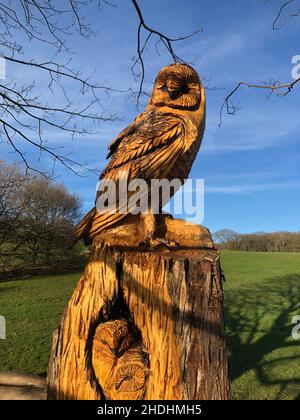 Una scultura in legno di un gufo su un vecchio tronco di albero Foto Stock