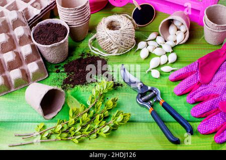 giardinaggio, piantando, piantando, coltivando, cura di pianta, tendine di piante, innesti, coltivazioni Foto Stock