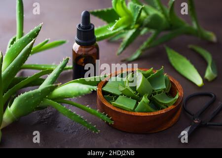 aloe vera, gel di aloe vera, olio di aloe vera, gel di aloe vera Foto Stock