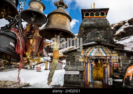 Fotografia di Mark Fox Foto Stock